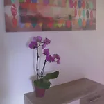 Zankl